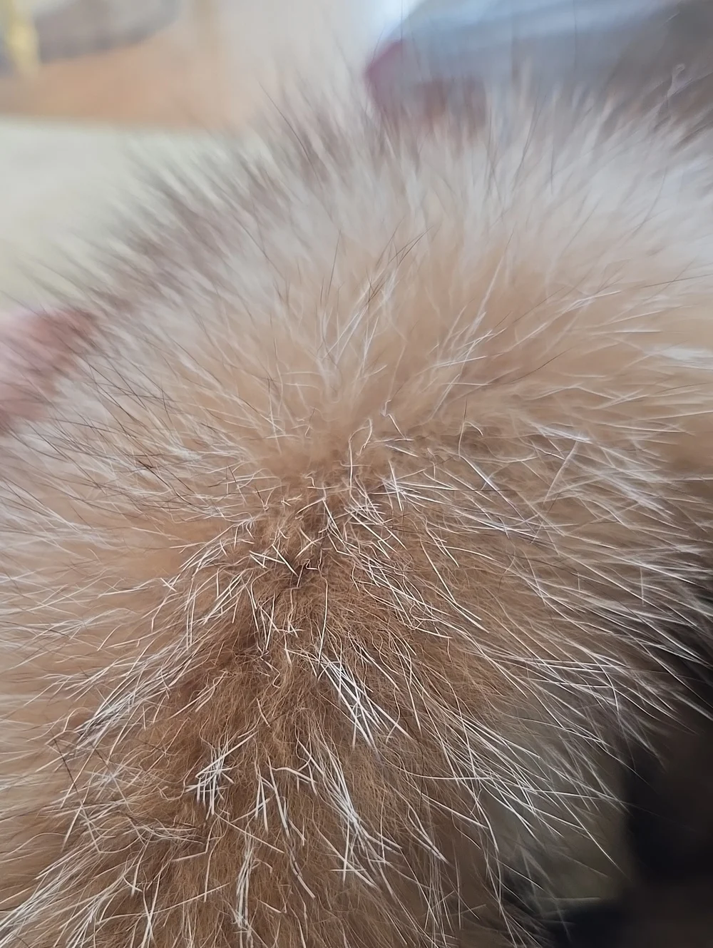 Vintage soft natural